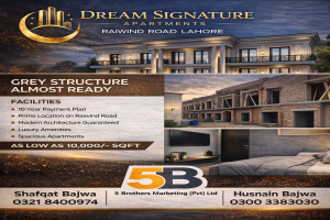 Best apartments for rent
