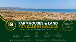 Farmhouses & Land for Sale in Gwadar