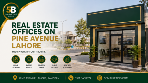 Real Estate Offices on Pine Avenue Lahore: What to Look For