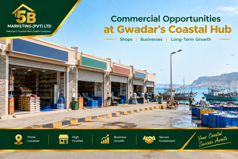Shops Near the Gwadar Fish Market: Worth Considering?