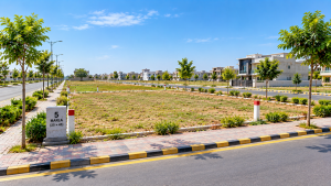 5 Marla residential plot for sale on the Pine Avenue corridor, Lahore